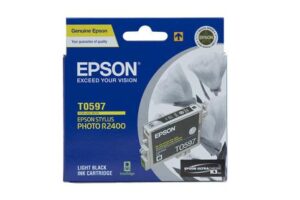 epson-c13t059790-light-black-ink-cartridge