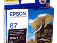 epson-c13t087190-photo-black-ink-cartridge