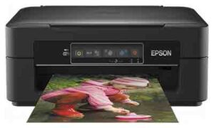 Epson-Expression-Home-XP-240-Printer